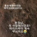 제일 머리방 | [홍천미용실 추천] 타샵 직펌으로 탄 머리, 삭발 위기에서 복구펌+염색으로 심폐소생! (서석면 예쁜머리방)