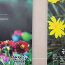 단양팔경휴게소