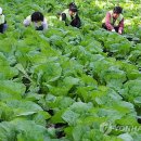 대성전자유통 - 여수시 여수시민로 1 | 대성전자유통
