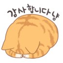 드럼통고양이 이미지