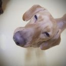 누리아미 이미지