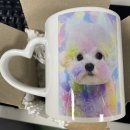 아우우(Aww) 이미지