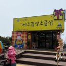 선샤인애월 | 애월리애월소품샵 제주기념품샵 한담몰 방문 후기