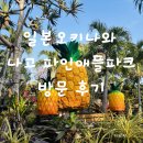 파인애플 | [일본 오키나와 가족여행] 아이와 함께 다녀온 나고 파인애플 파크 후기 및 꿀팁 공유!
