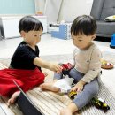 눈웃음박물관