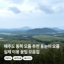 제주도 오름 추천 용눈이오름 등산 후기