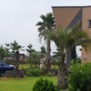 메리엘 빌리지 이미지