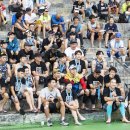 노익스큐즈 이미지