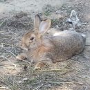 청조환경(주) 이미지