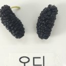 열매마켓