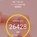 스카이런 D-2 이미지