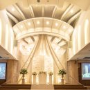 더 화이트벨리 이미지