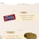 황솔비