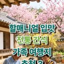 한과문화박물관한가원 | 4월 가족 여행지 가볼만한곳 할매니얼 입맛 전통 간식 여행지 추천