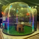 문곡 | 제천 여행 필수 코스! 돔 텐트에서 즐기는 이색 막창 맛집, '문곡역 1730' (프리미엄 돼지고기 전문점)