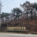 가족 여행 강추! 국립 변산 자연 휴양림 방문 후기