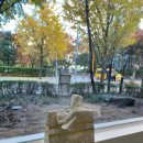 띵크프룻 이미지