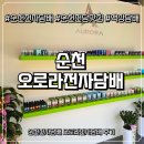 건강 라인댄스 | 순천전자담배 오로라전자담배 후기 (비흡연자 시선 리얼 방문기)