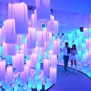 디자인딜라이트 이미지