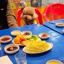 순천만실내(회)마차 | [부산해운대맛집] 부산 해운대 실내 랍스터 포장마차 현지인추천 오륙도6호