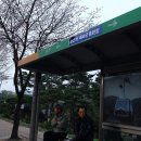 솔고개식당