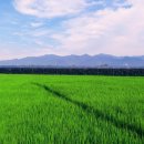 낙천대2 이미지