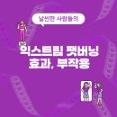익스트림 팻버닝 효과, 성분, 부작용, 가격, 내돈내산 후기 (총정리)