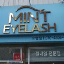 민트아이래쉬
