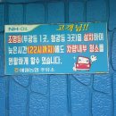 애월농업협동조합주유소 이미지