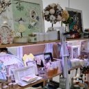 유니얼라이 이미지