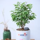 행복드리는약국 이미지