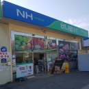 강화남부농협 불은지점 이미지