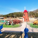 청도레일바이크 이미지