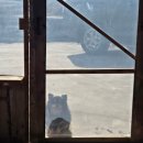 우리농원민박 이미지