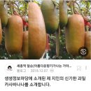 카사바바나나쨈(버터향 바나나맛) 이미지