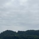삼촌하우스