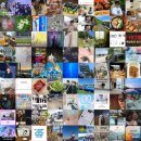 (주)가포넷 | 블로그 인기 포스팅만 모아: 매일 최신의 인기 블로그 포스팅을 한곳에서!! (2025.07.30 12:16)