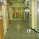 잠동초등학교 이미지