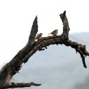 상천4리 마을회관 이미지