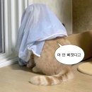 나의 열아홉 번째 일기