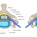 아침빛한의원 이미지