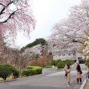 국립서울현충원 이미지