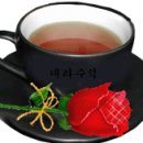 산과숲 이미지
