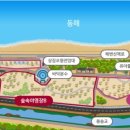 고래불국민야영장 이미지