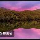 진유한의원 네이버블로그
