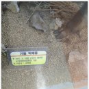 우덕어린이집 이미지