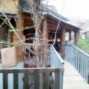 칠현산 숲거리 이미지