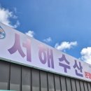 서해헬스 | 가을 제철음식 1탄) 인천 영종도 대하구이 맛집 '서해수산' 내돈내먹 후기