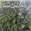 엘리시움사우나 이미지