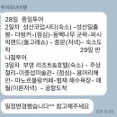 오키서키투어(Mario Travel Agency) 이미지